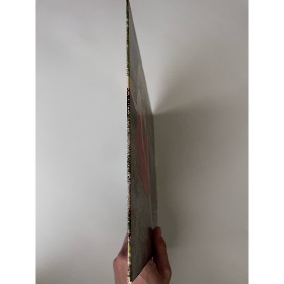 Jada Long Road Home To Texas LP 1981 Coyotee Records C1108 VG - Picture 3 of 7